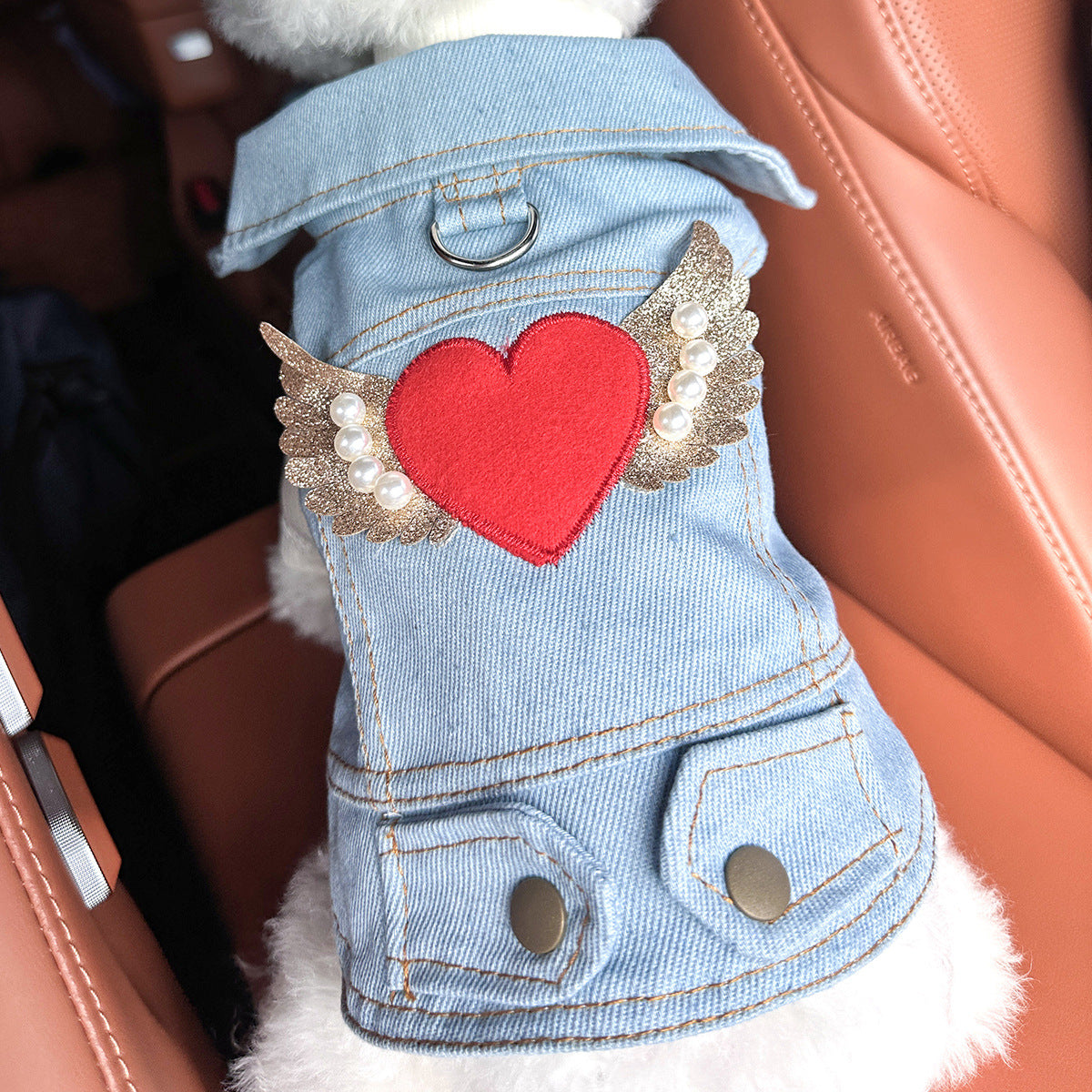 Dog and Cat Denim Jacket - Stylish Pet Outfit - Angel's Heart-M