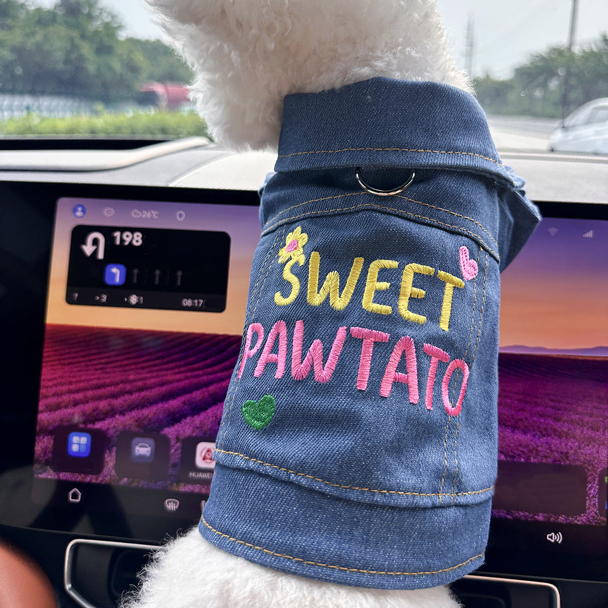 Dog and Cat Denim Jacket - Stylish Pet Outfit - Little Potato-XS