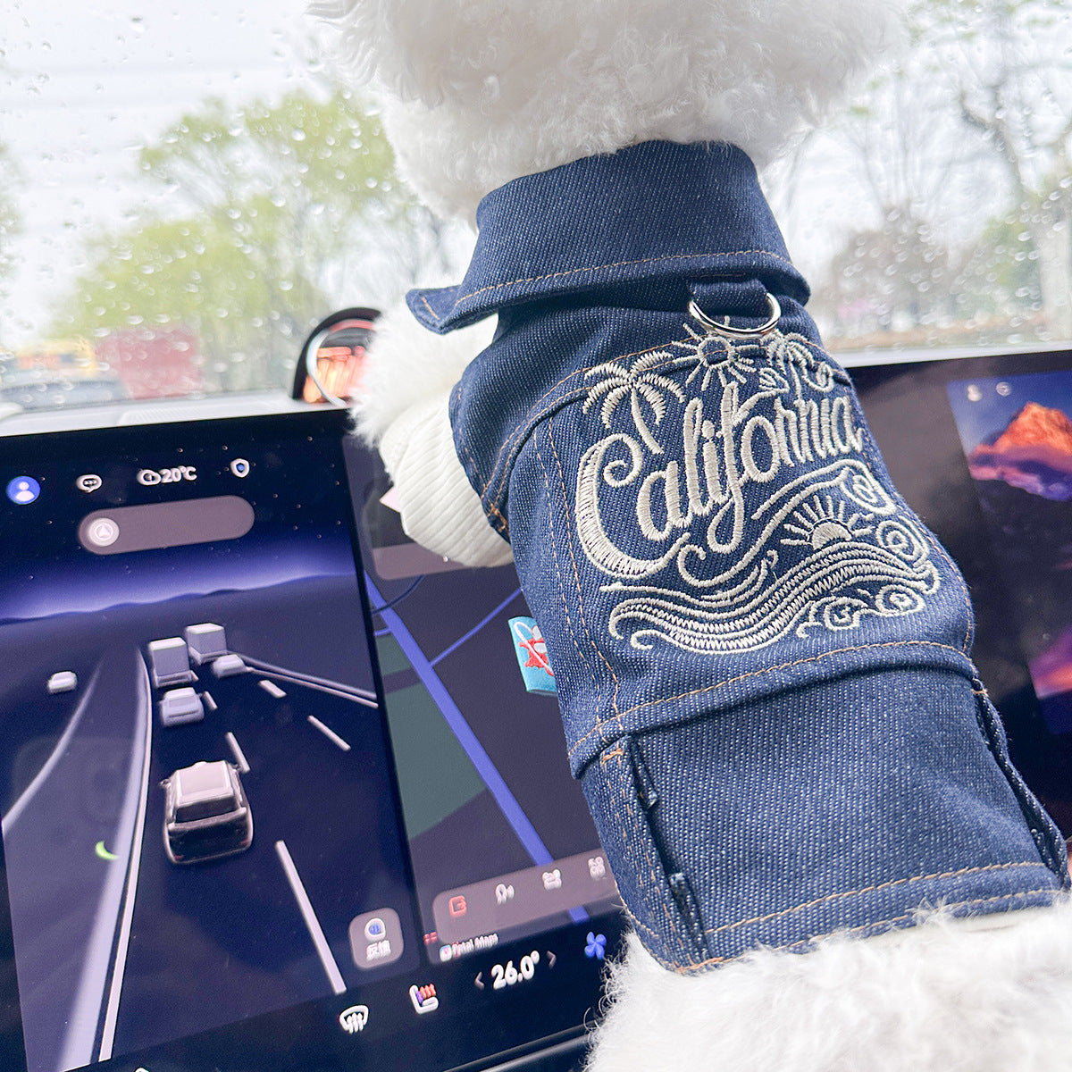 Dog and Cat Denim Jacket - Stylish Pet Outfit - Golden California-M