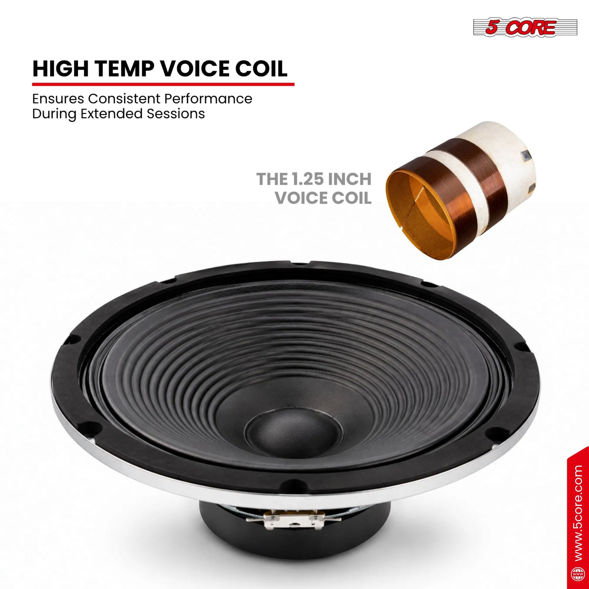 5Core 10" Guitar Speaker