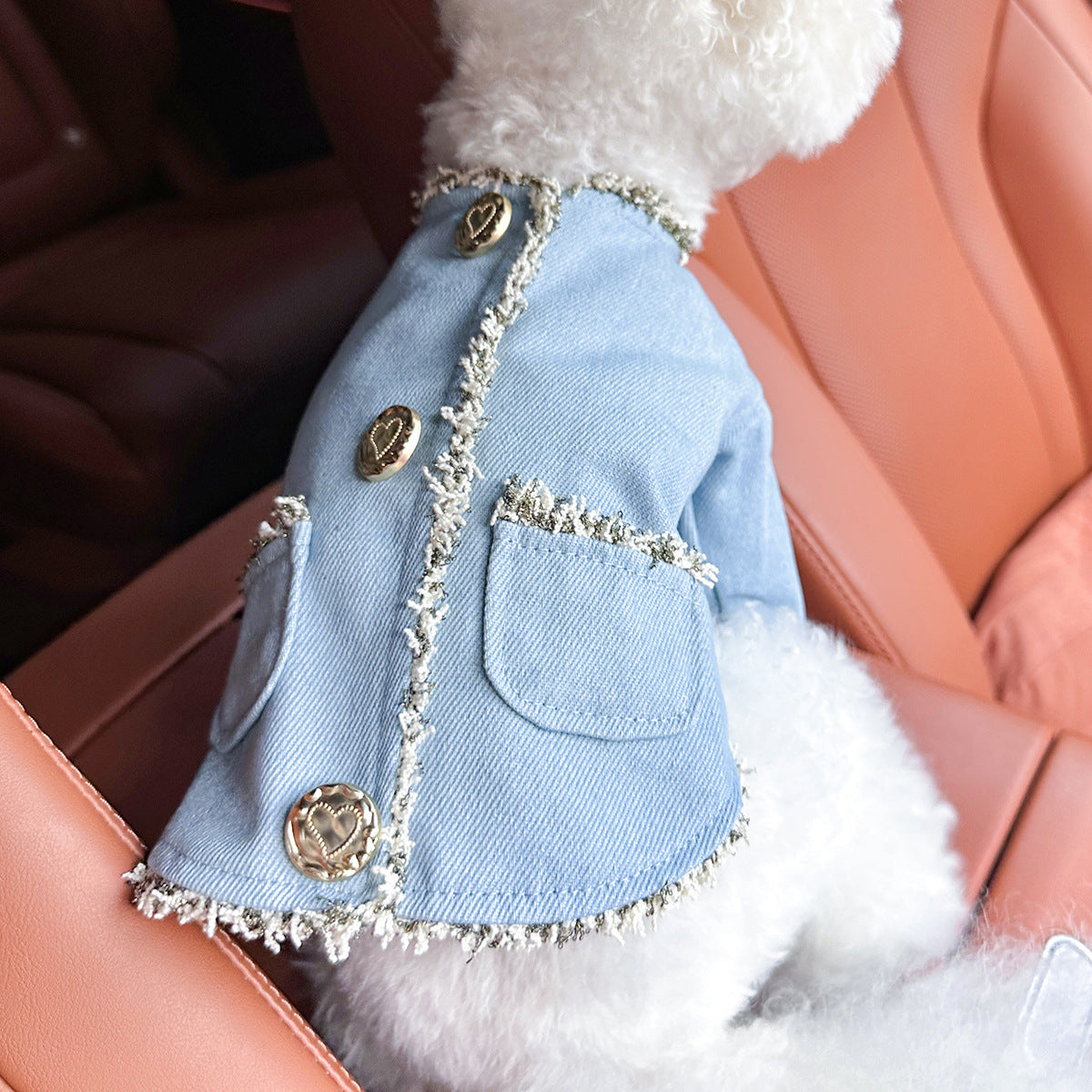 Dog and Cat Denim Jacket - Stylish Pet Outfit - Kafuu-XS