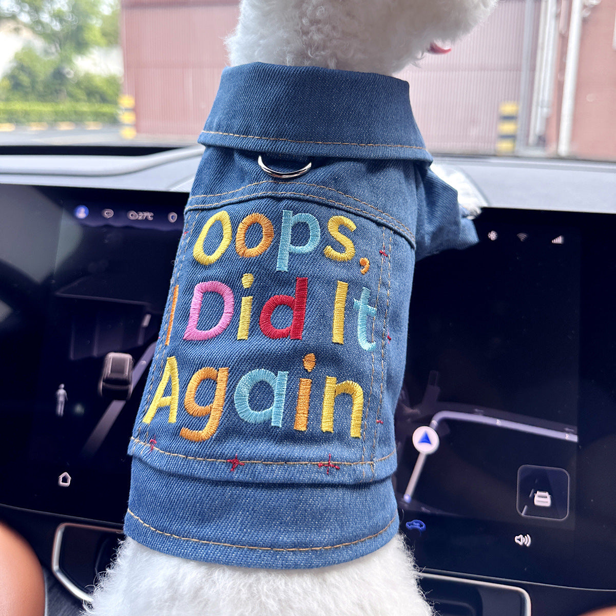 Dog and Cat Denim Jacket - Stylish Pet Outfit - Mischievous Denim Jacket-XL