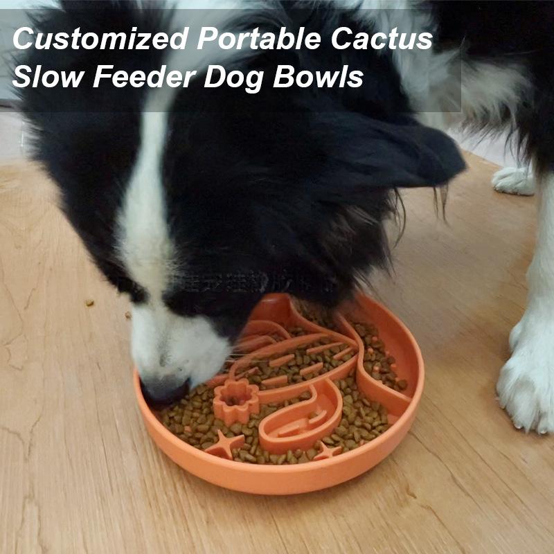 Cactus slow-feeder bowl top view