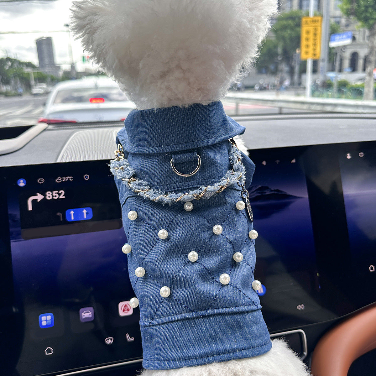 Dog and Cat Denim Jacket - Stylish Pet Outfit - Pearl Chain-M