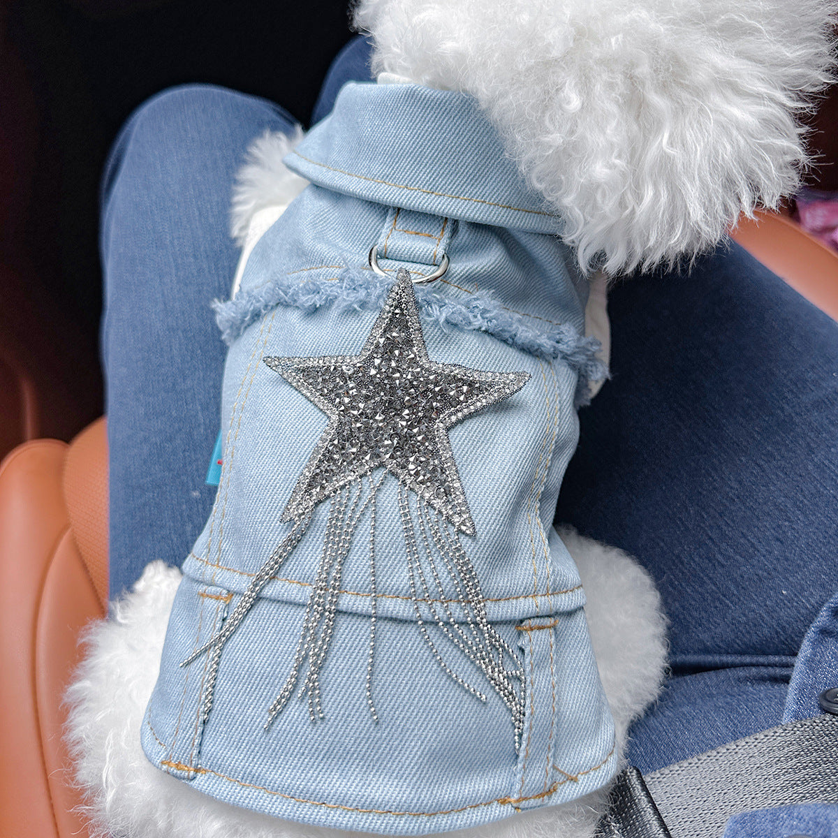 Dog and Cat Denim Jacket - Stylish Pet Outfit - Tassel Star-S