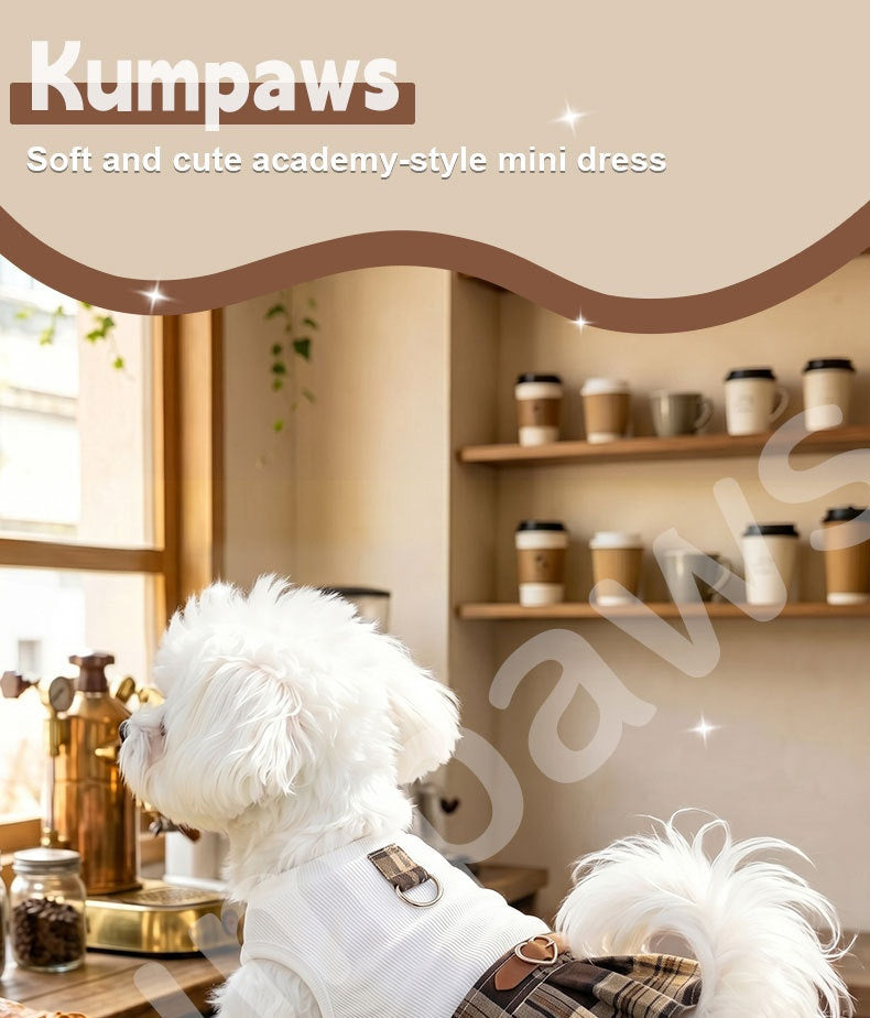 Plaid Pleated Dog Dress