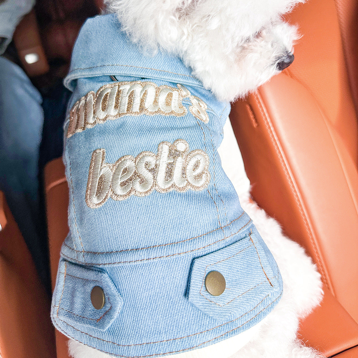 Dog and Cat Denim Jacket - Stylish Pet Outfit - Mom's Good Friend-M