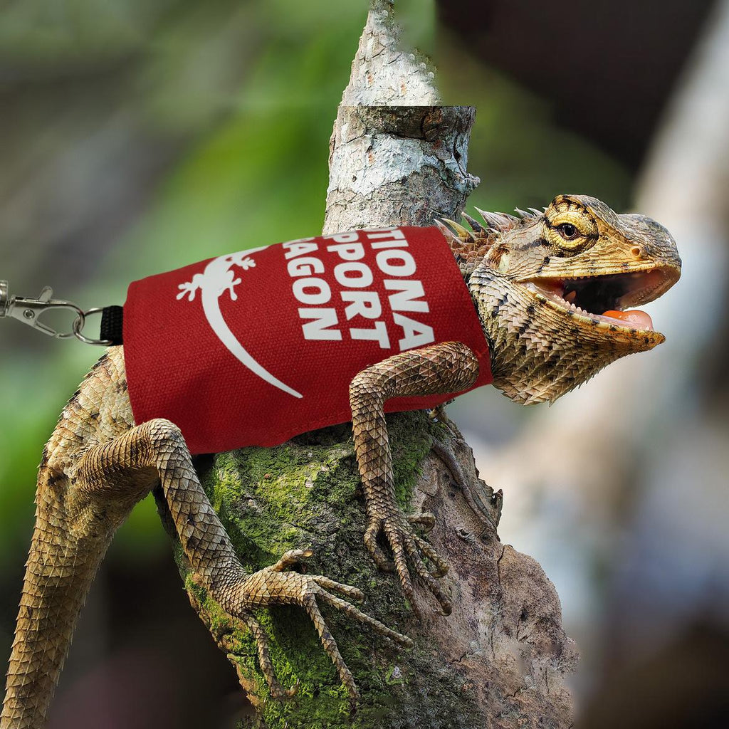 Lizard Harness and Leash Set for Reptiles