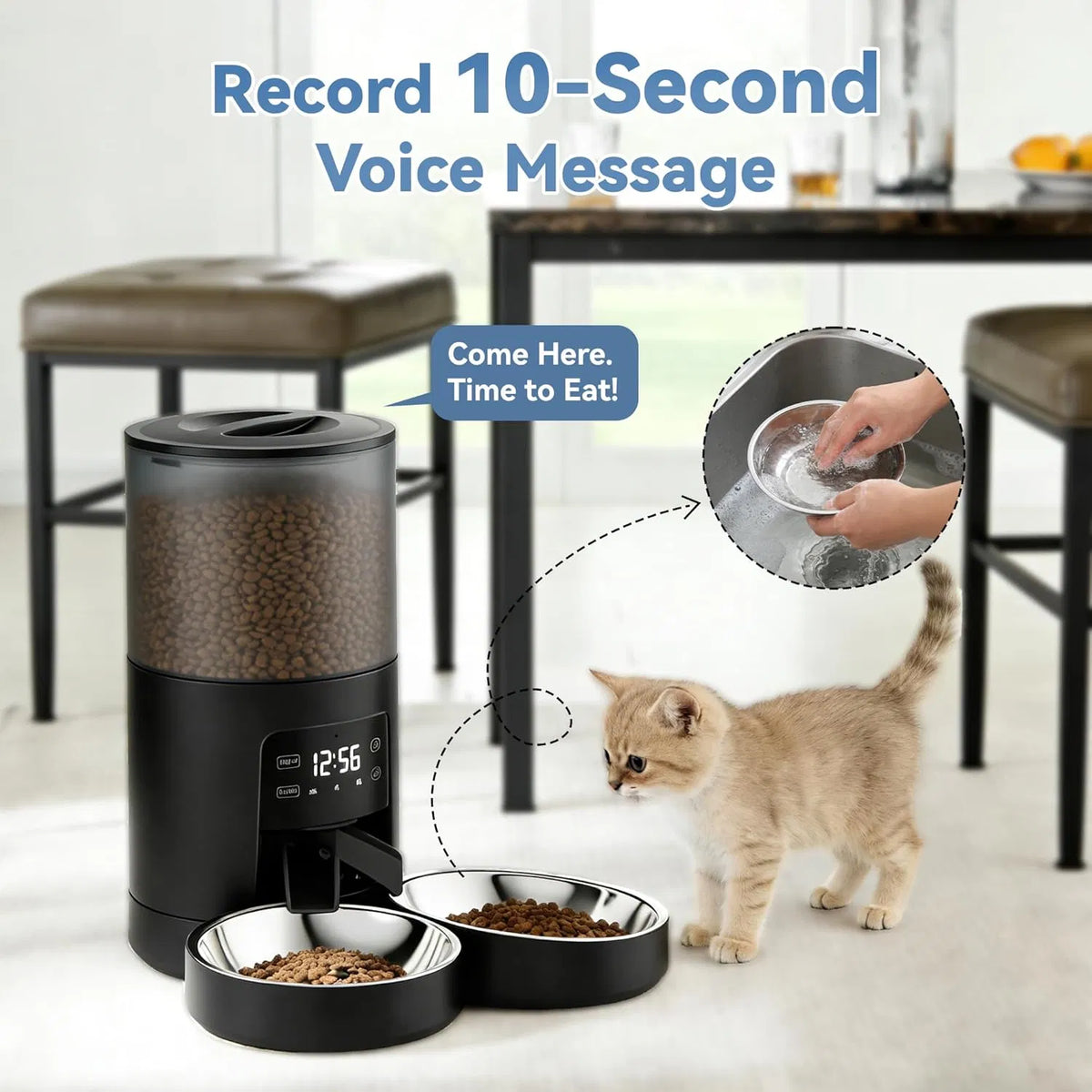 6L Automatic Cat Feeder for 2 Cats