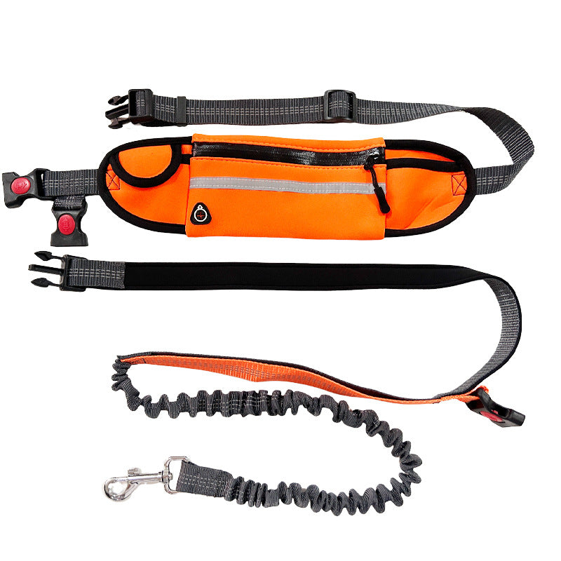 Leash dimensions