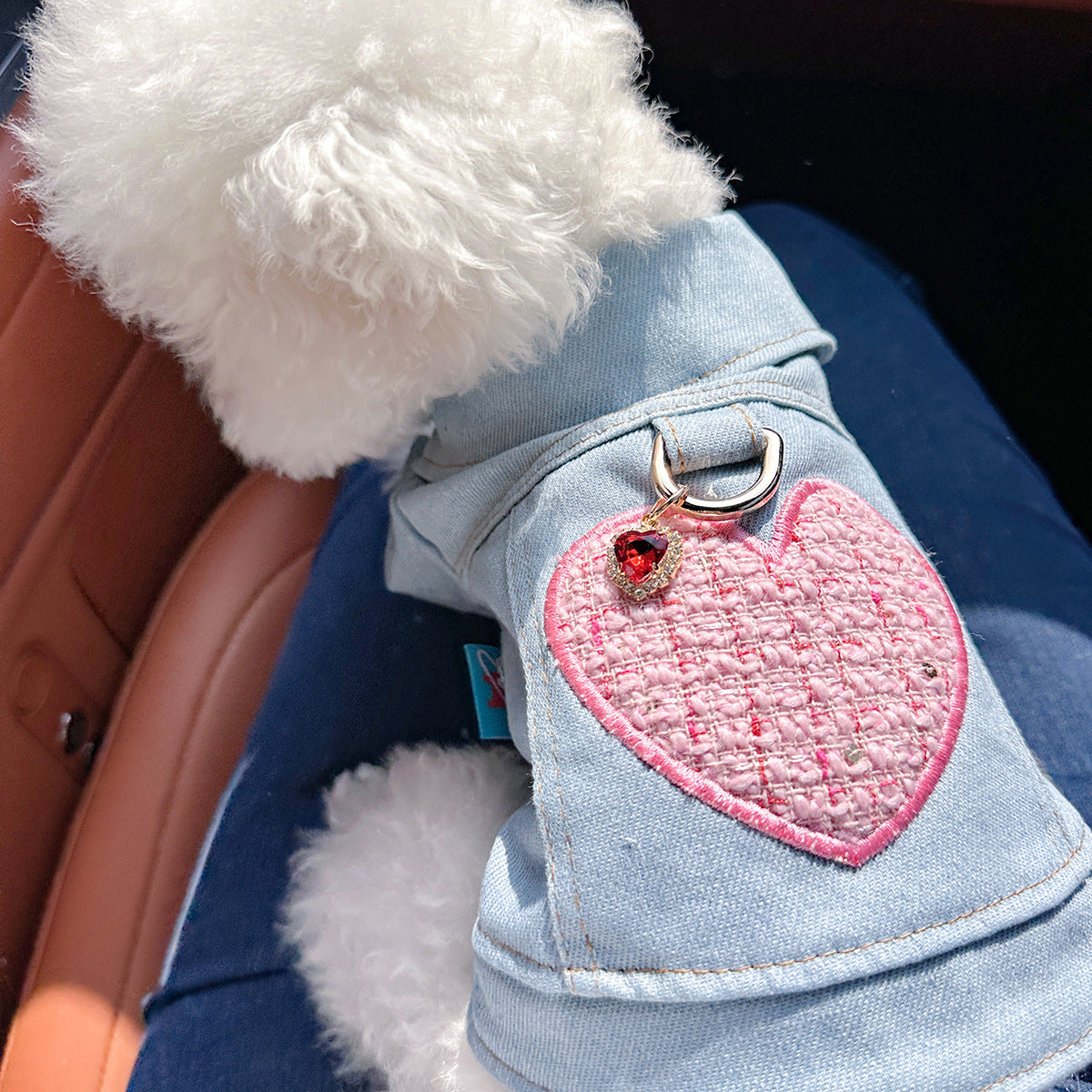 Dog and Cat Denim Jacket - Stylish Pet Outfit - True Love-S