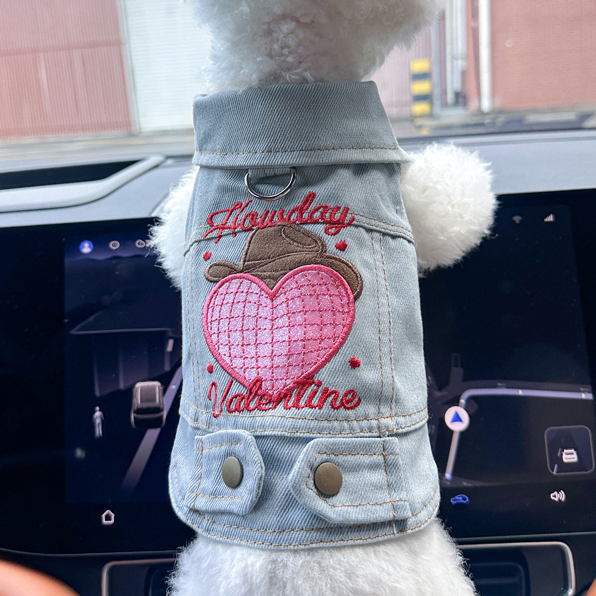 Dog and Cat Denim Jacket - Stylish Pet Outfit - Valentine's Day-XS