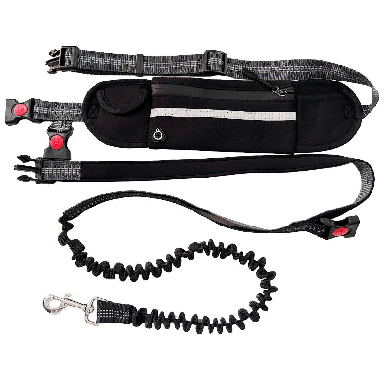 Running leash in use